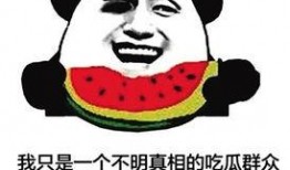 网络名词吃瓜群众什么意思,网络时代的围观者与传播者