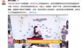 娱乐吃瓜君高情商小说,娱乐界的智慧瓜田