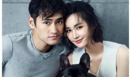 娱乐圈吃瓜大秘籍,一网打尽明星幕后秘闻与八卦风云