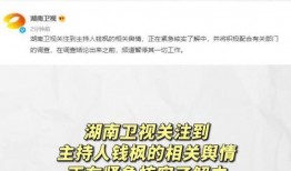 娱乐圈吃瓜标识,揭秘明星幕后故事
