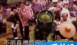 吃瓜群众的视频真实,揭秘吃瓜群众视角下的真实事件现场