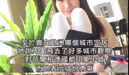 娱乐吃瓜酱国外乱说话,揭秘国外乱说话背后的真相