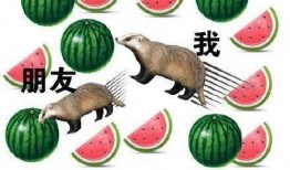 娱乐吃瓜猹,揭秘“吃瓜猹”背后的故事