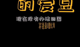 娱乐播报安心吃瓜,娱乐播报带你轻松解码娱乐圈最新动态