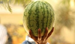 2021年娱乐圈吃瓜,瓜田李下，明星们的年度大揭秘