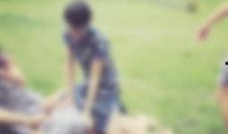 文文娱乐吃瓜,揭秘娱乐圈最新吃瓜事件