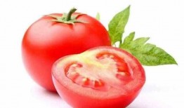 番茄娱乐圈吃瓜读心