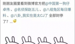 娱乐吃瓜酱取名大全图片,揭秘取名大全背后的趣味与智慧