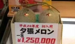 专业娱乐吃瓜圈,那些你不知道的幕后故事与八卦风云