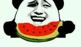 吃瓜群众的视频真实,揭秘吃瓜群众视角下的真实事件现场