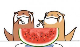 吃瓜大会串词简短,吃瓜大会精彩瞬间