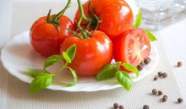 番茄娱乐圈吃瓜读心