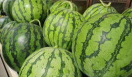 吃瓜现象,揭秘网络时代的围观文化现象