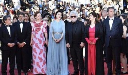 娱乐圈吃瓜文推荐,明星背后的那些事