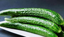 娱乐小葱花吃瓜视频下载,揭秘娱乐圈幕后故事