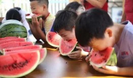 吃瓜比赛活动,吃瓜比赛狂欢盛宴