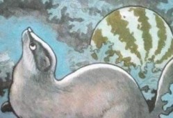 娱乐吃瓜猹,揭秘“吃瓜猹”背后的故事