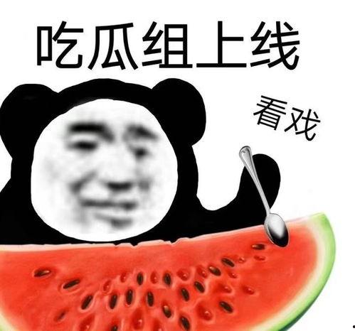 反吃瓜表情包,揭秘网络时代的“冷眼旁观”