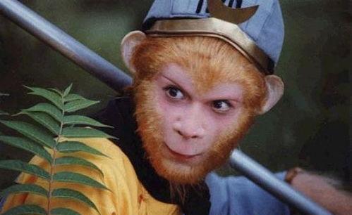 娱乐吃瓜酱西游记,西游记中的趣味解读与揭秘